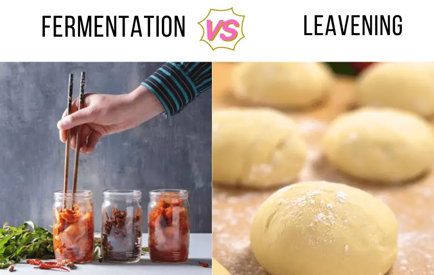 Fermentación VS Levadura: ¿Cuál es la diferencia?