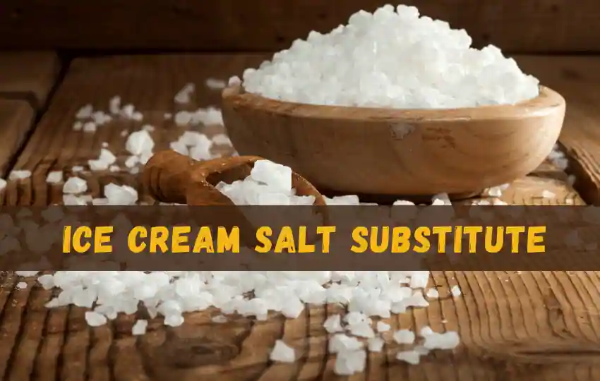 19 sustitutos fáciles de la sal para helados
