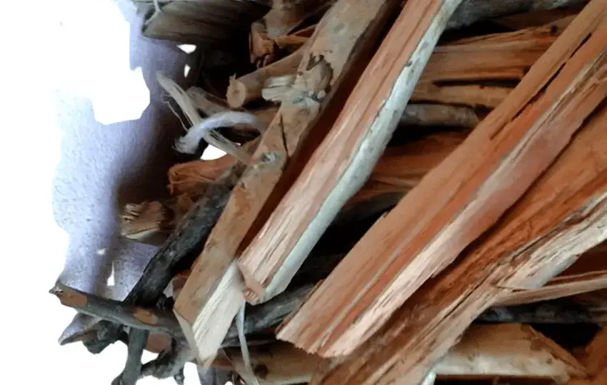 8 sabrosos sustitutos de madera de pimiento