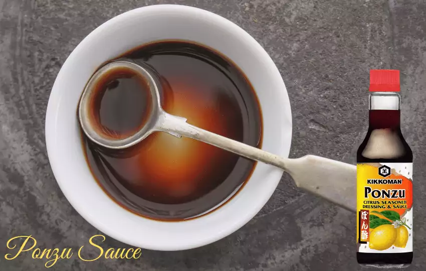 Más de 9 sustitutos de la salsa Ponzu (haga que su plato sea más delicioso)