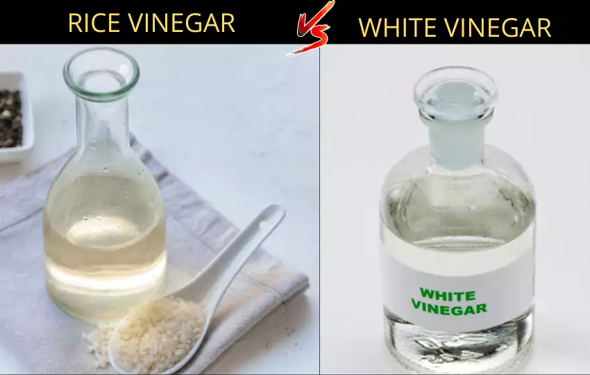 Más de 10 diferencias principales entre el vinagre de arroz y el vinagre blanco