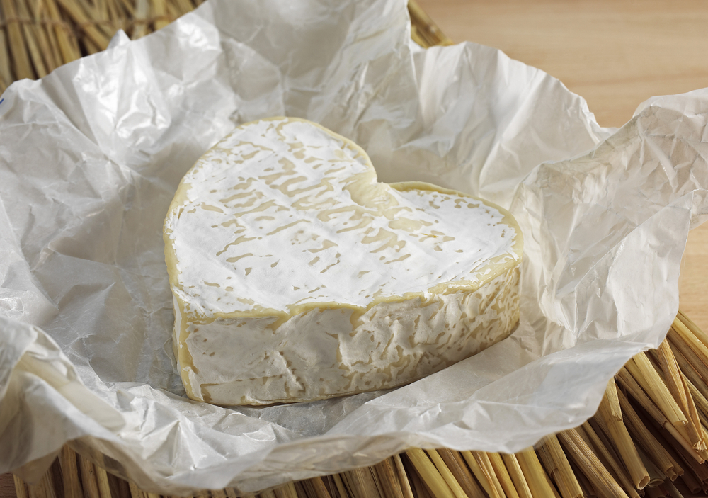 5 sustitutos del queso Neufchatel