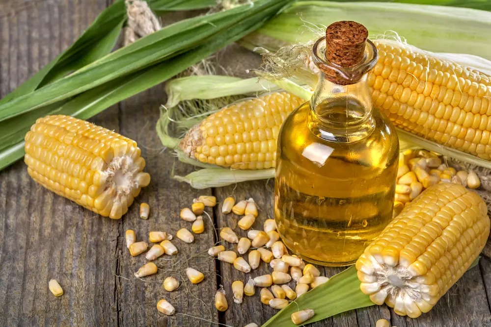 8 de los principales sustitutos del aceite de maíz