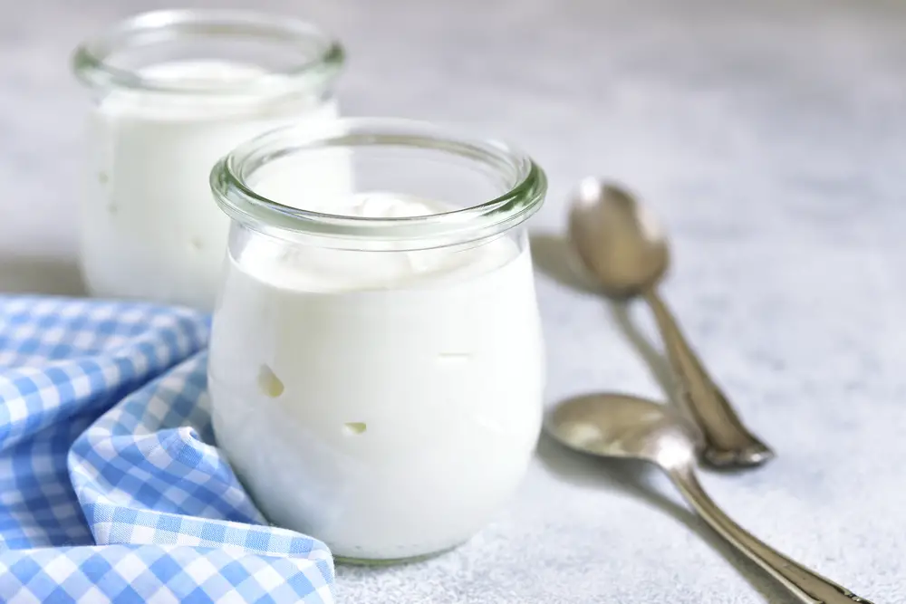 ¿Cuánto dura el yogur casero?