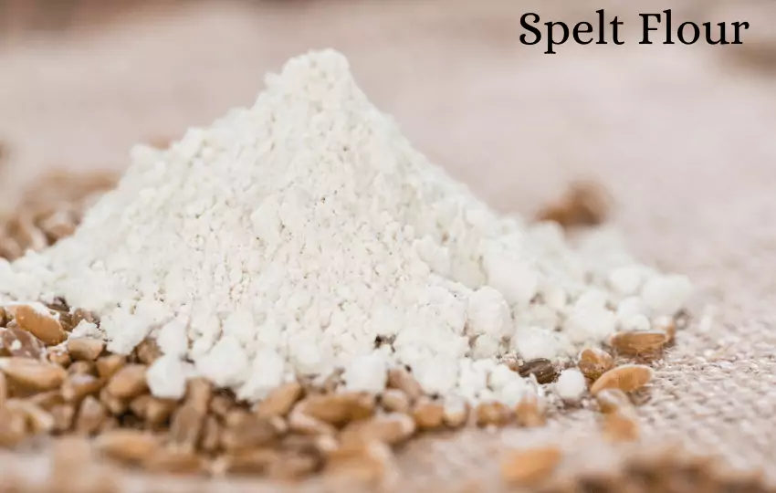 ¿Cuál es un buen sustituto de la harina de espelta? 15 alternativas