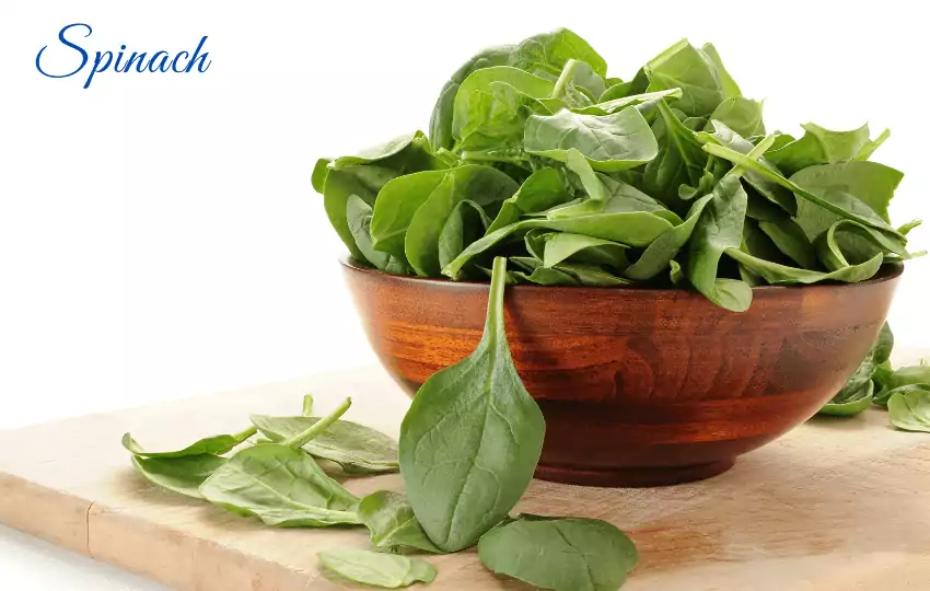 10 sustitutos nutritivos de espinacas para ensaladas, cocina y sopas