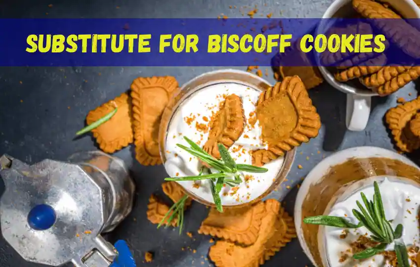 9 sustitutos de las galletas Biscoff