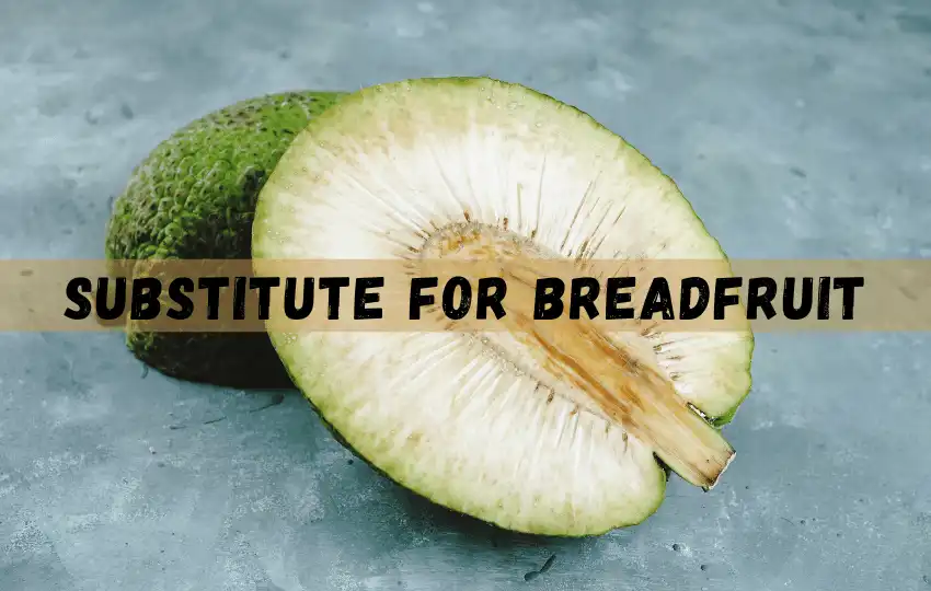 Más de 12 sustitutos rápidos de la fruta del pan |proporción y modo de uso2023