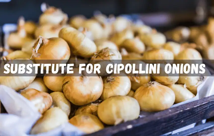 9+sustitutos de las cebollas Cipollini | Relación y modo de uso 2023
