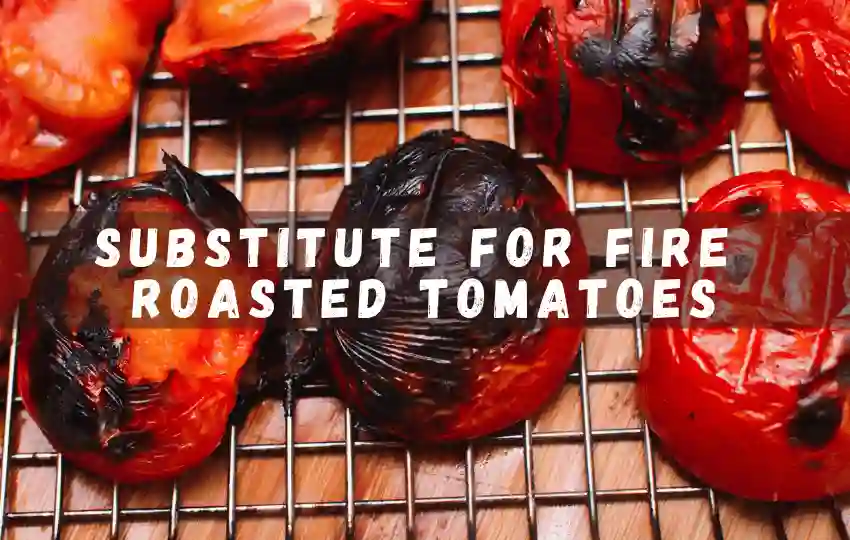 11 sustitutos de los tomates asados ​​al fuego para cocinar en casa 2023