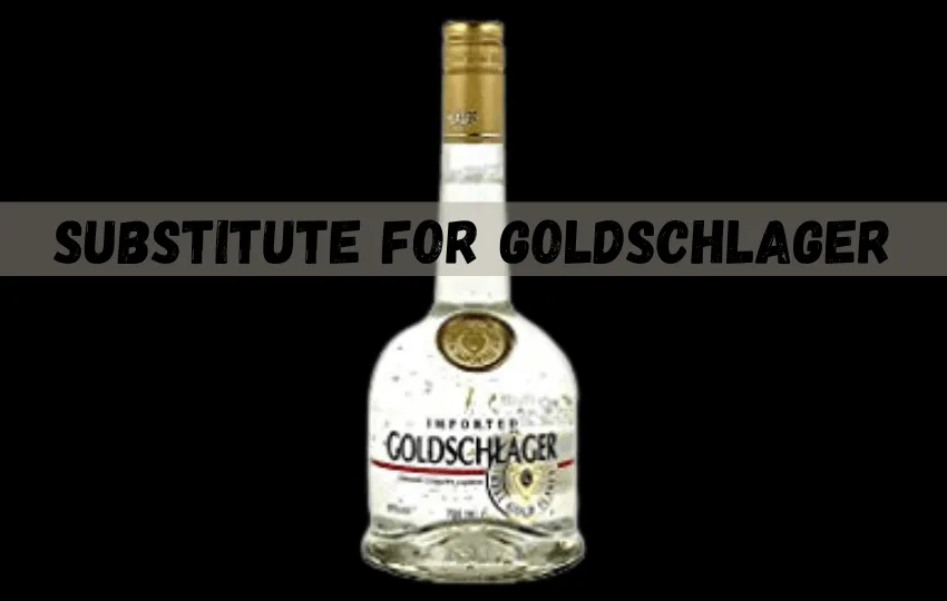 11 sustitutos de Goldschlager | Relación y modo de uso 2023