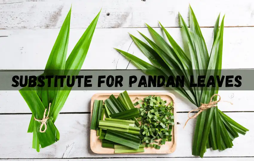 Más de 9 sustitutos de las hojas de Pandan