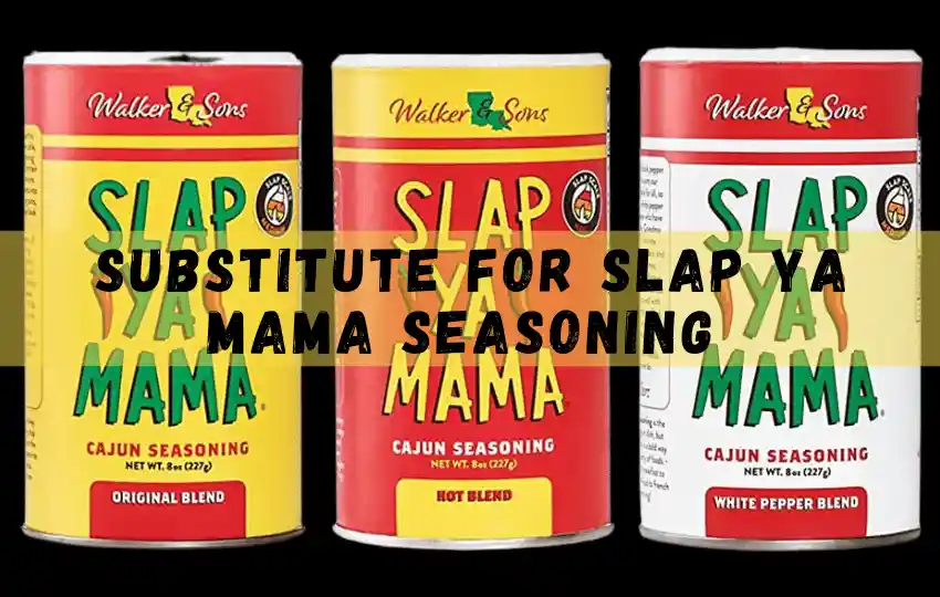 Más de 11 sustitutos del condimento Slap Ya Mama para cocinar 2023