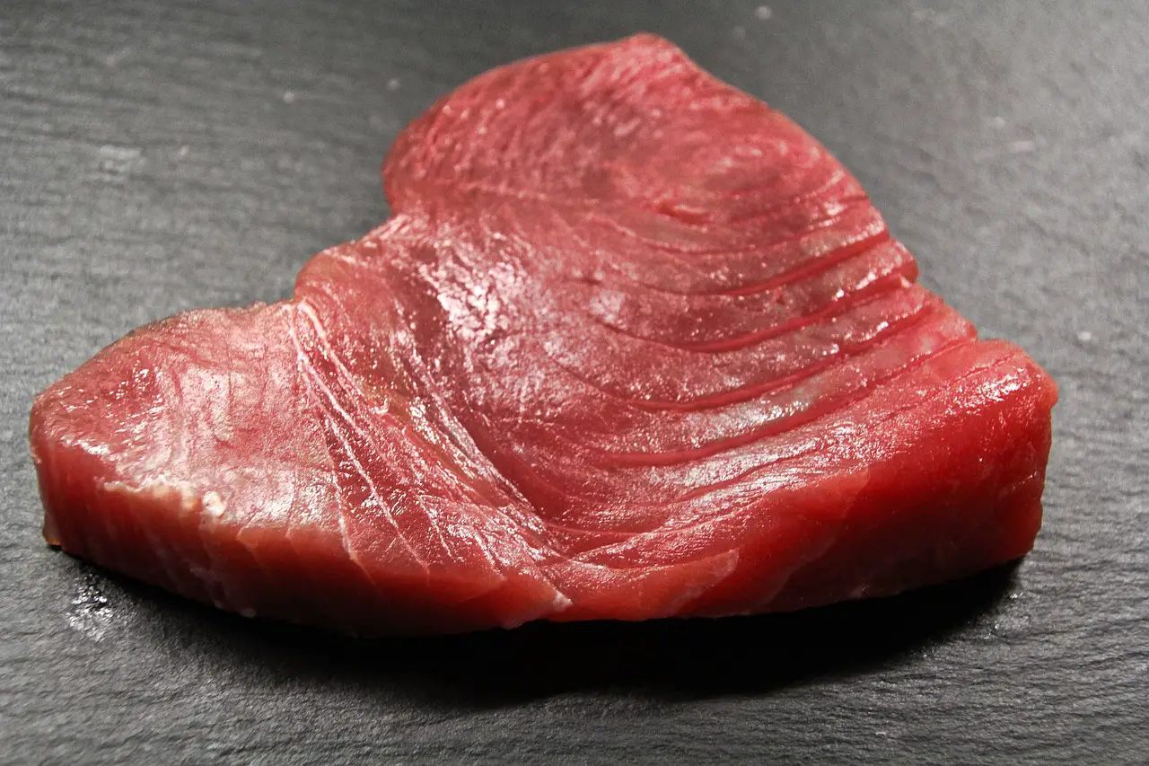 ¿Cuánto dura el atún fresco en la nevera? Respuesta explicada