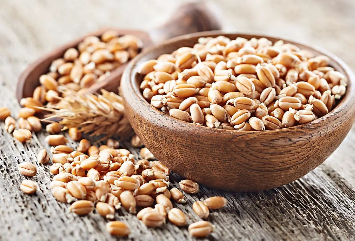 ¡9 sustitutos del germen de trigo que debes probar!