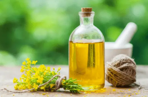 ¿Puedo usar aceite vegetal en lugar de aceite de oliva (freír/hornear)?