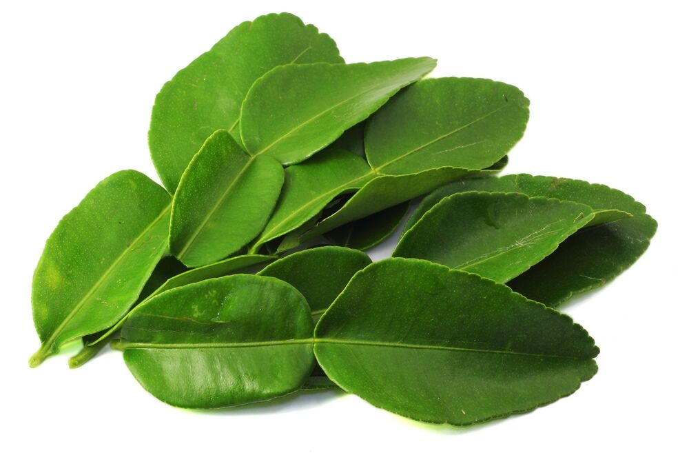 ¿Se pueden congelar las hojas de lima kaffir?