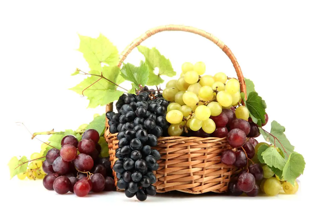 ¿Son las uvas una fruta cítrica?