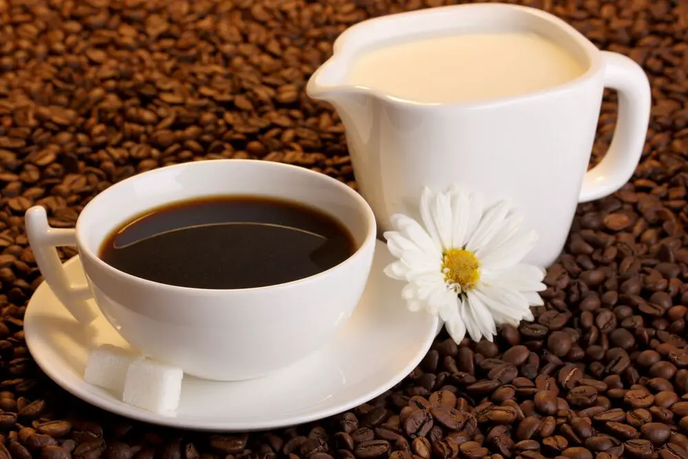 ¿Qué son los sabores de café Splenda?