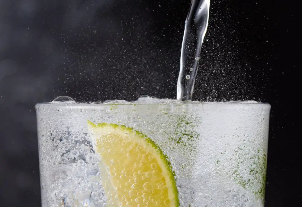 ¿A qué sabe un gin tonic?