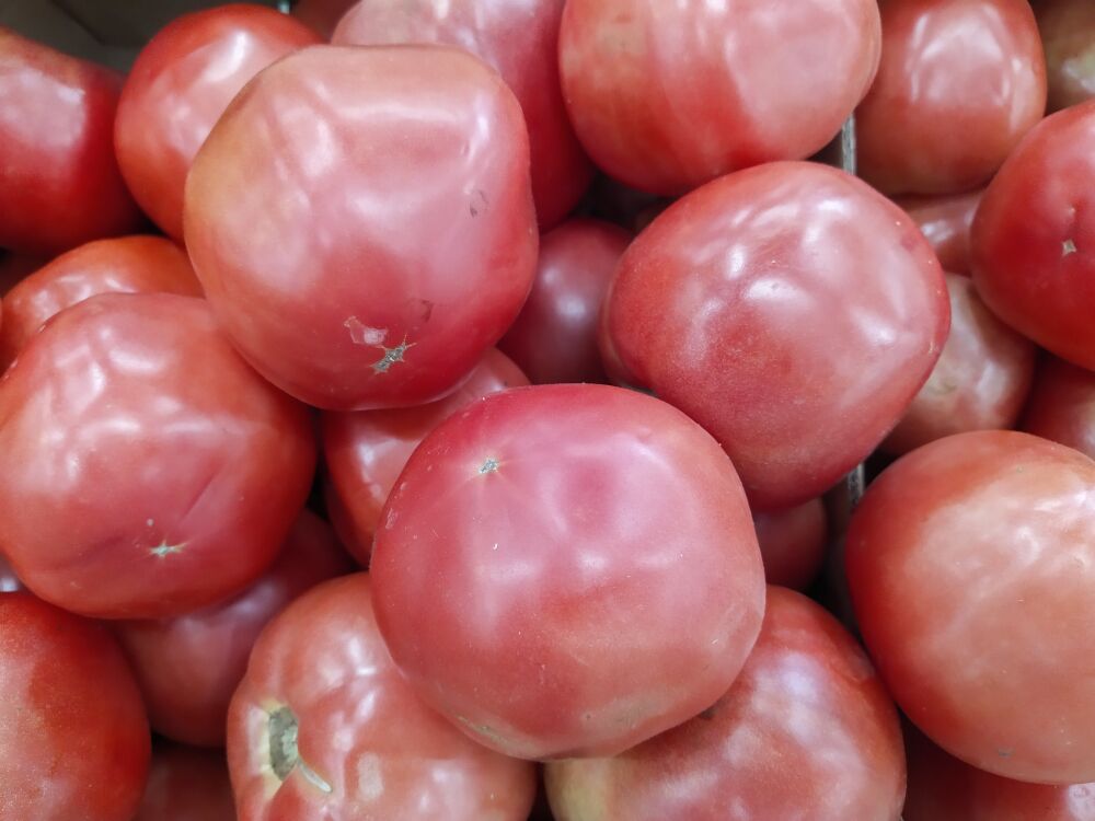 ¿A qué sabe un tomate?