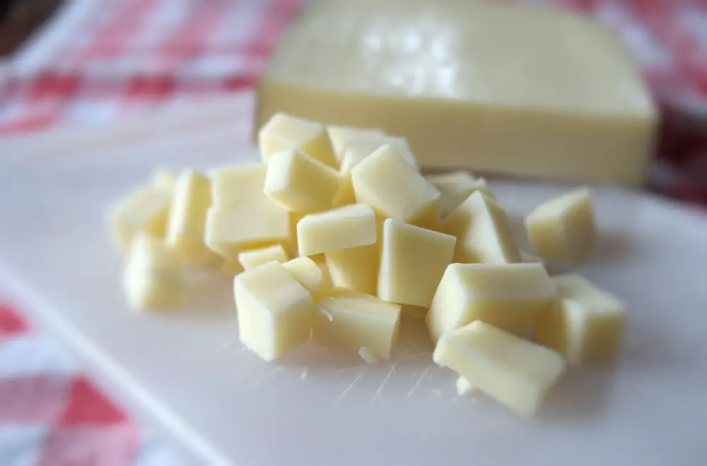 ¿A qué sabe el queso fontina?