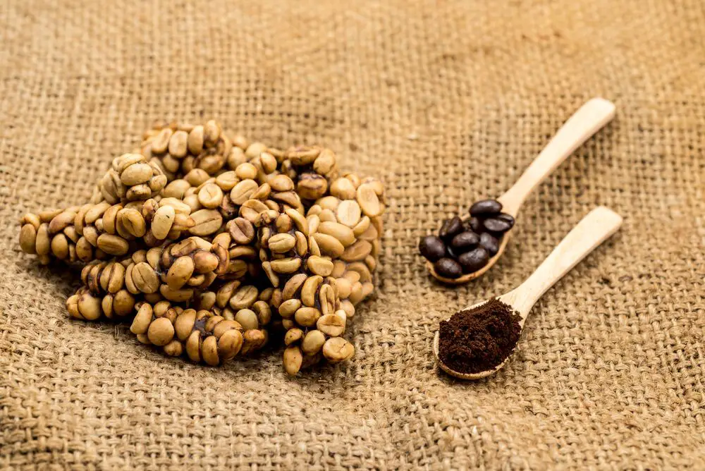 ¿Cuál es el precio del café Kopi Luwak?
