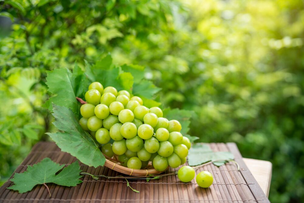 ¿Cuándo se echan a perder las uvas?