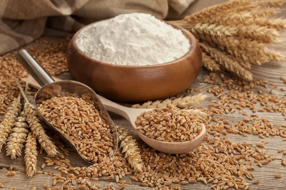 Harina de trigo integral vs harina de avena