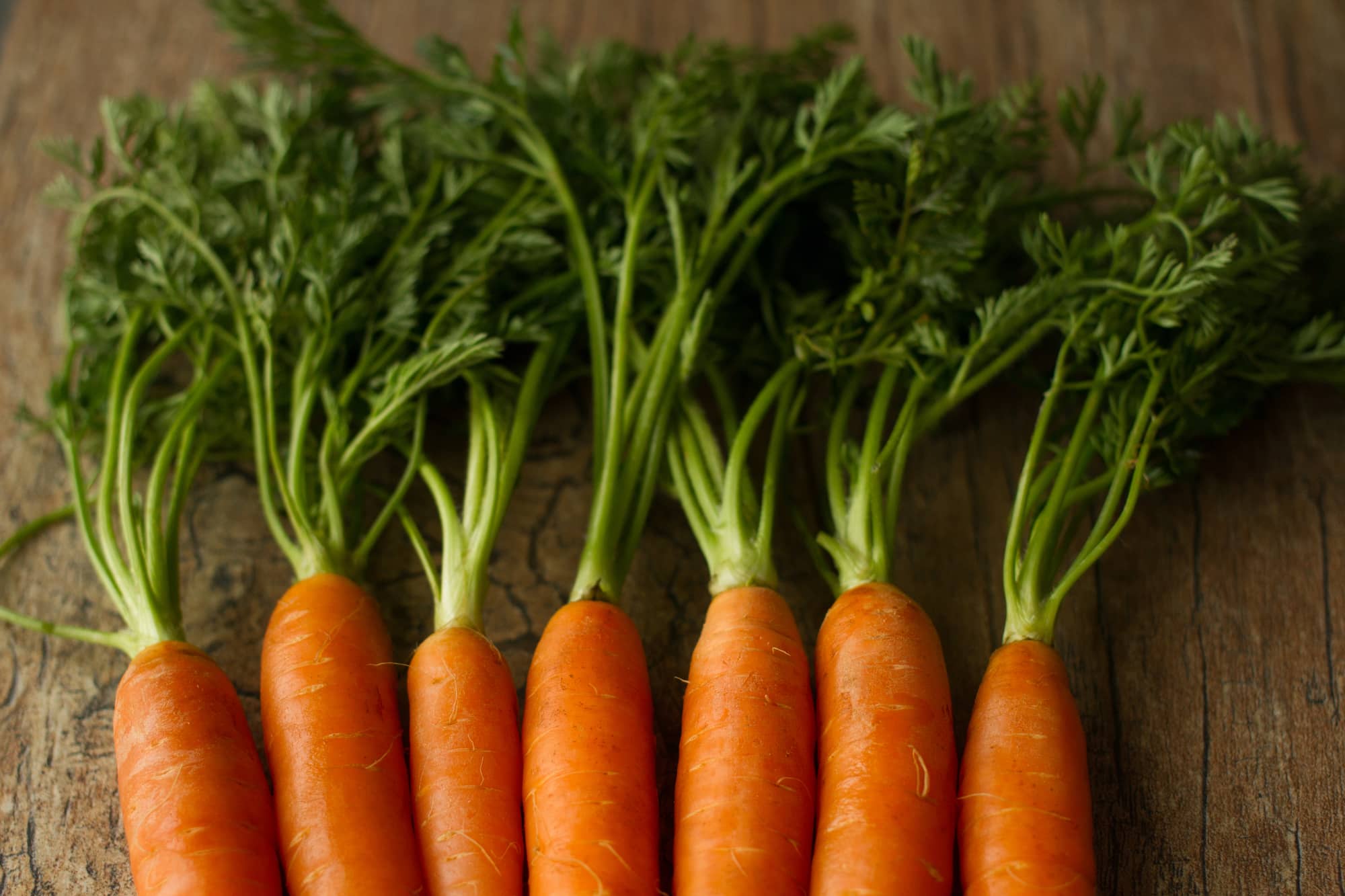 Zanahorias verdes: un verde frondoso comúnmente pasado por alto