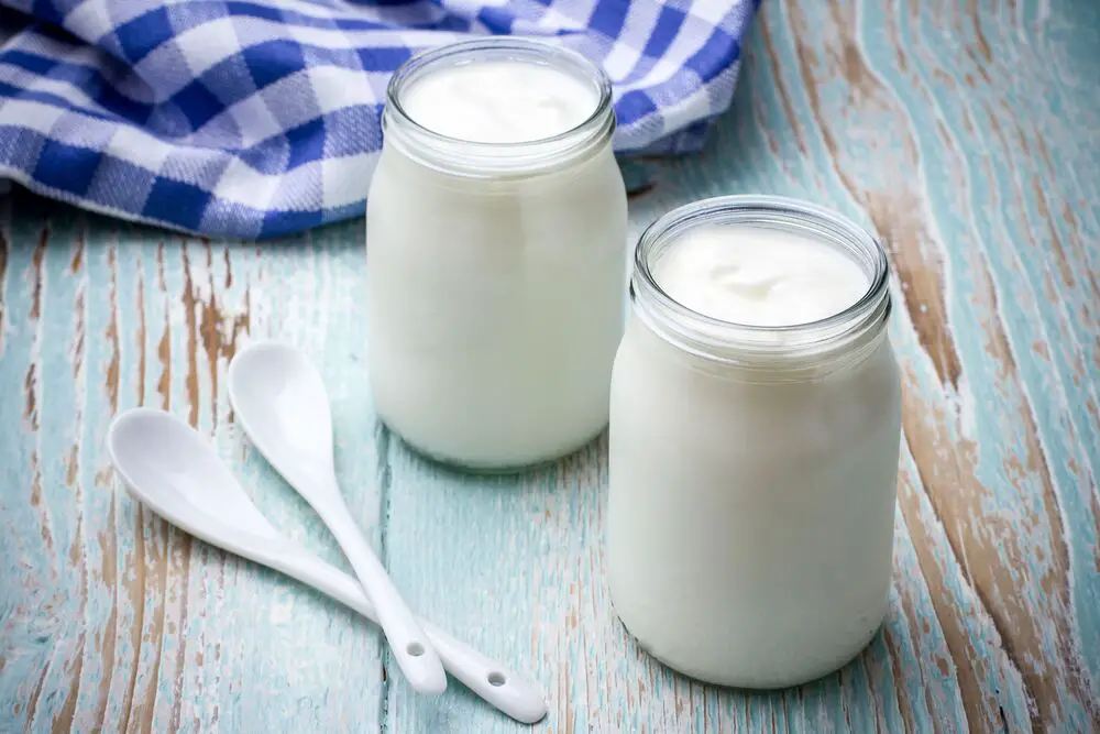 Crema agria vs yogur: ¿cuáles son sus diferencias clave?