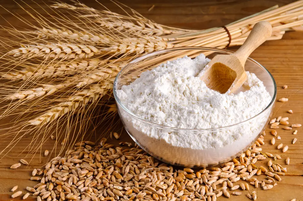 Harina de trigo integral vs harina de avena