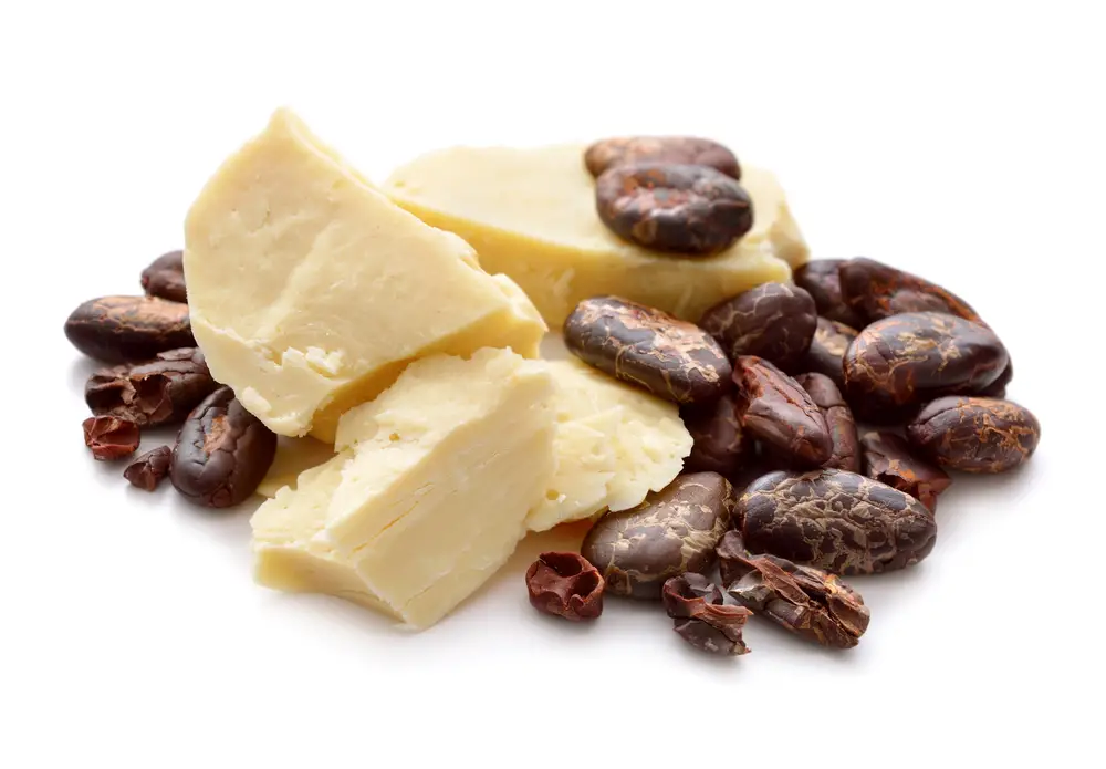 ¿La manteca de cacao es láctea o no? Respuesta explicada
