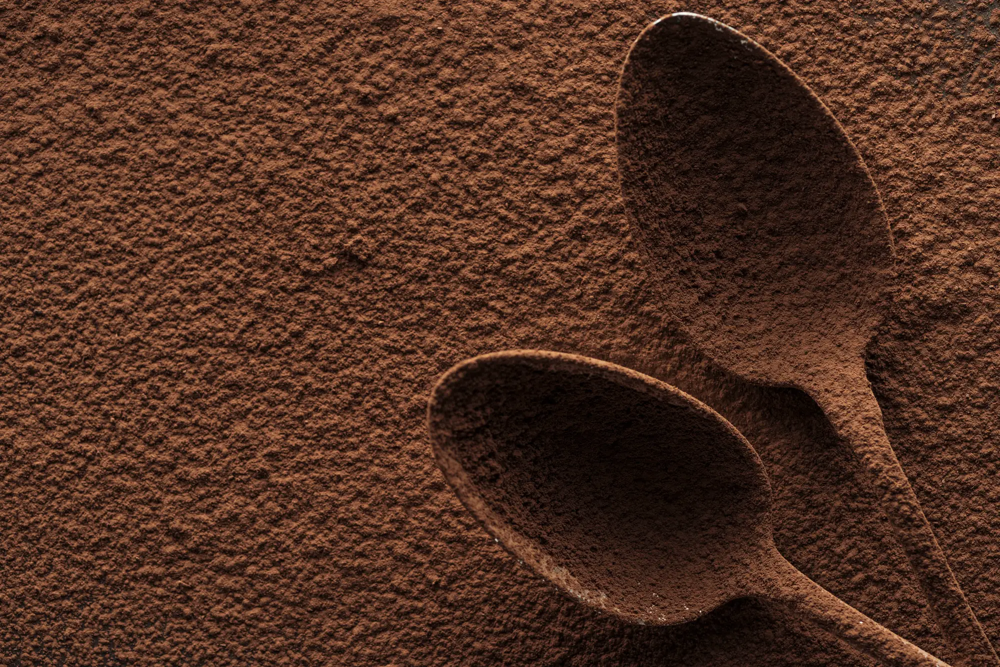 Polvo de cacao procesado holandés: el cacao más suave