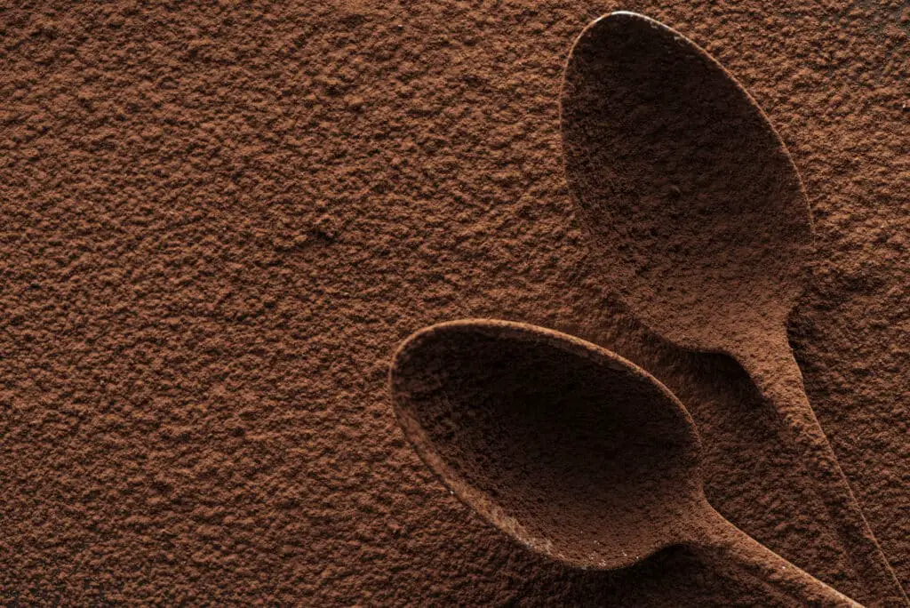 Polvo de cacao procesado holandés: el cacao más suave