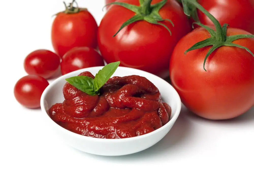 Puré de tomate vs Pasta: ¿En qué se diferencian estos dos?