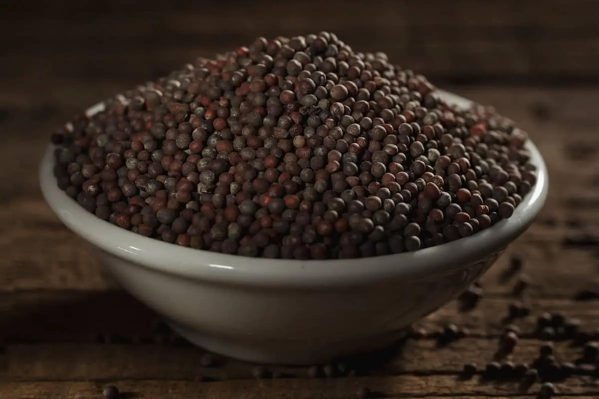 Semillas de mostaza negra: la semilla de mostaza más picante