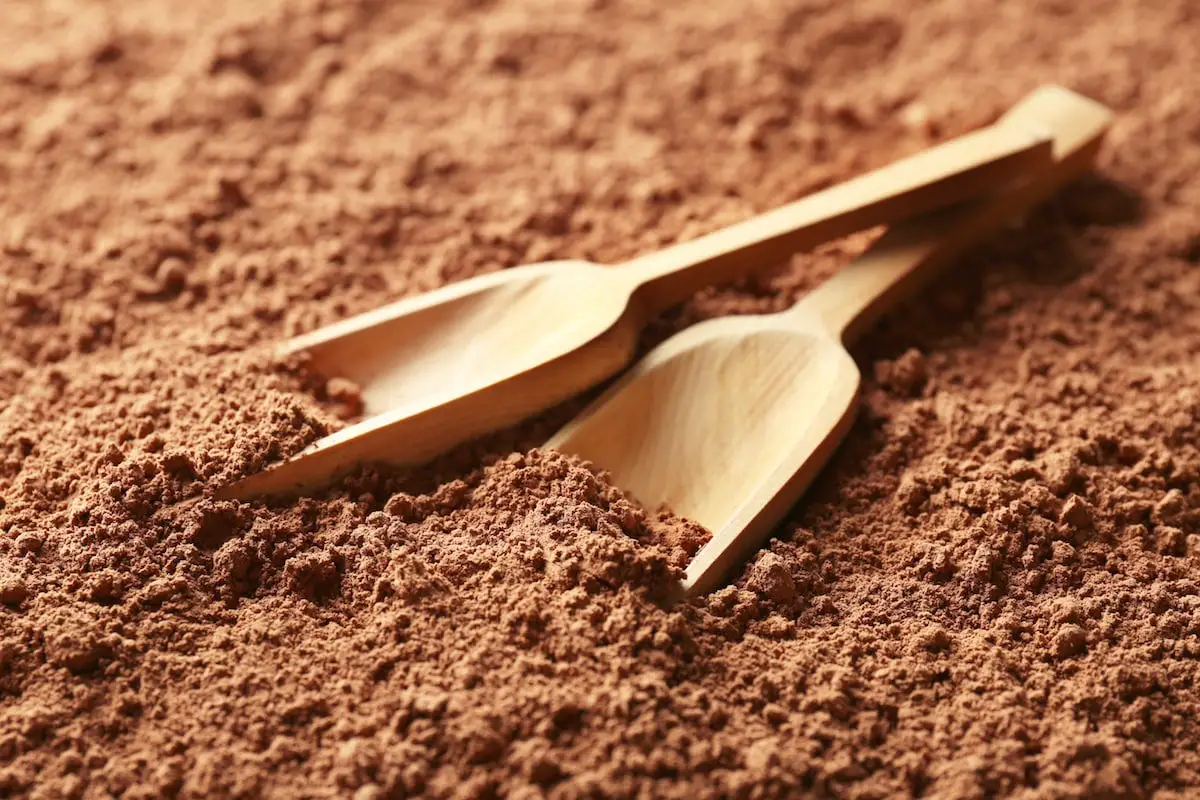 Cacao en polvo: una potencia antioxidante
