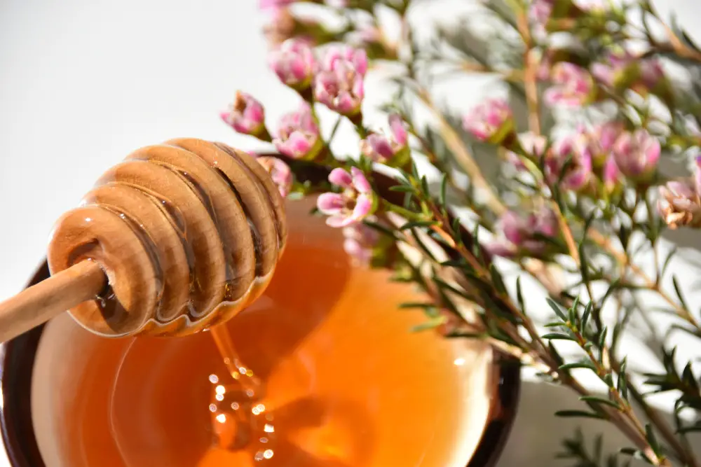 ¿Por qué la miel de manuka es tan cara?