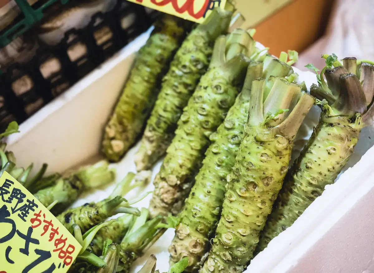 Wasabi: una especia verdaderamente japonesa