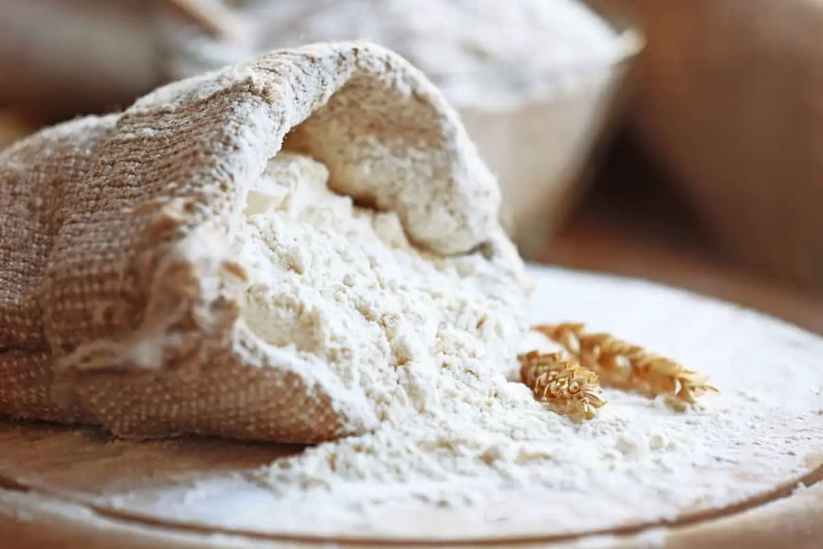 Harina de trigo: la harina favorita del mundo