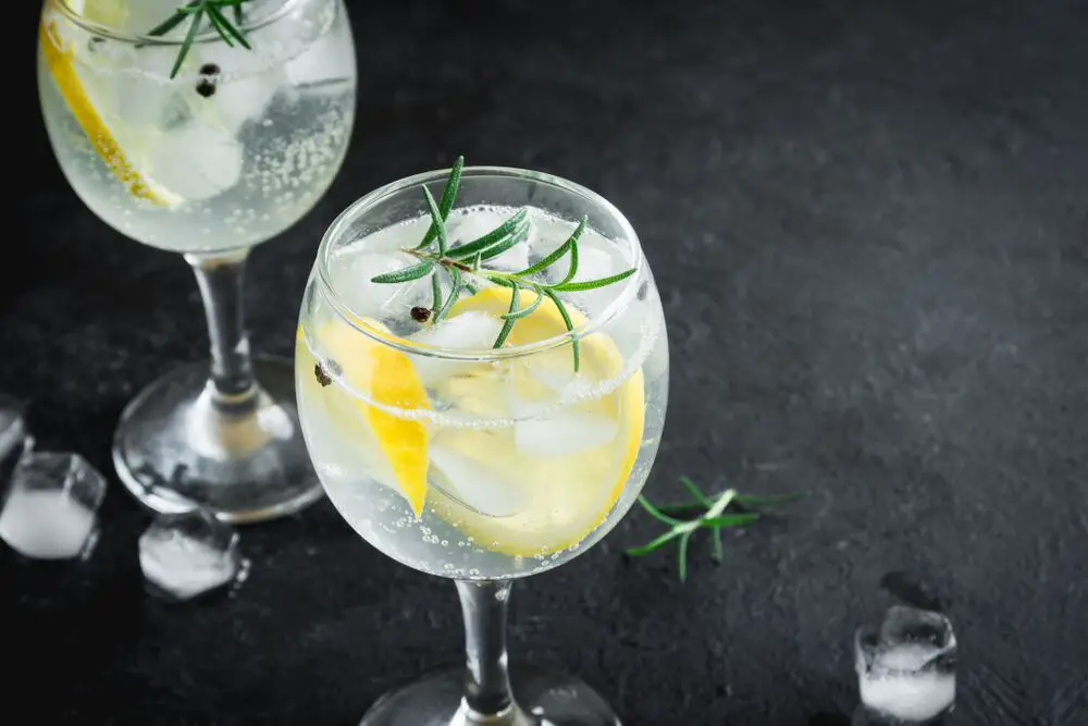 ¿A qué sabe un gin tonic?
