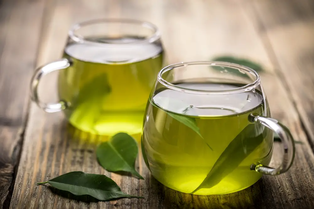 ¿Es mejor el té verde frío o caliente?