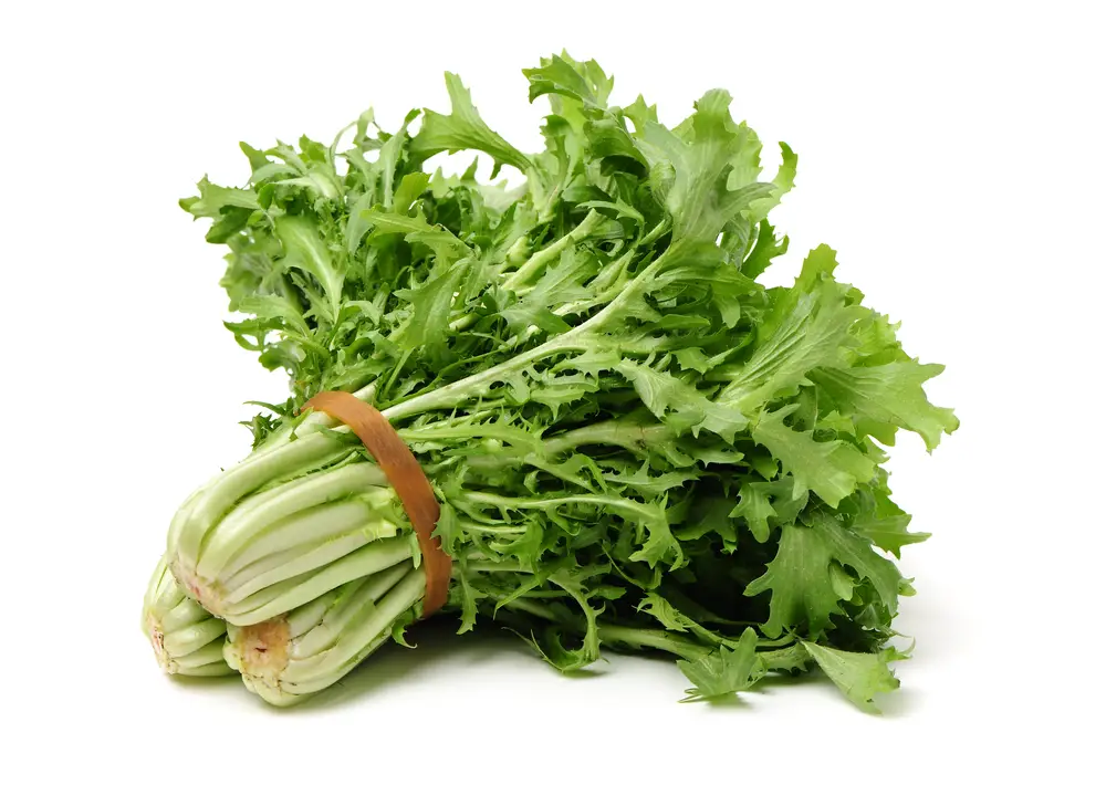 Sustituto de la rúcula: mejores opciones para verduras similares