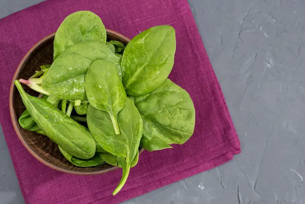 10 sustitutos de la espinaca que puedes usar para tus recetas