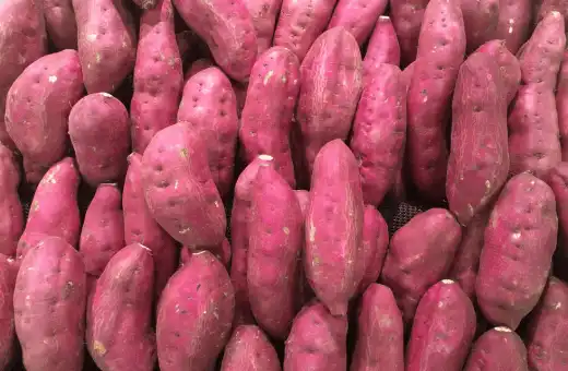 11 sustitutos rápidos de la yuca