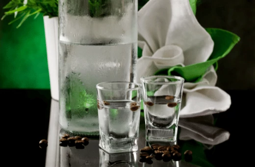 12 mejores sustitutos del licor de anís en la cocina