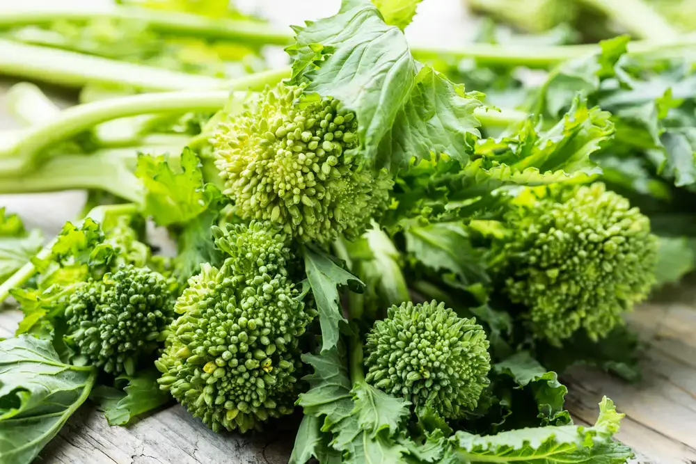 14 sustitutos del brócoli Rabe – Fanatically Food