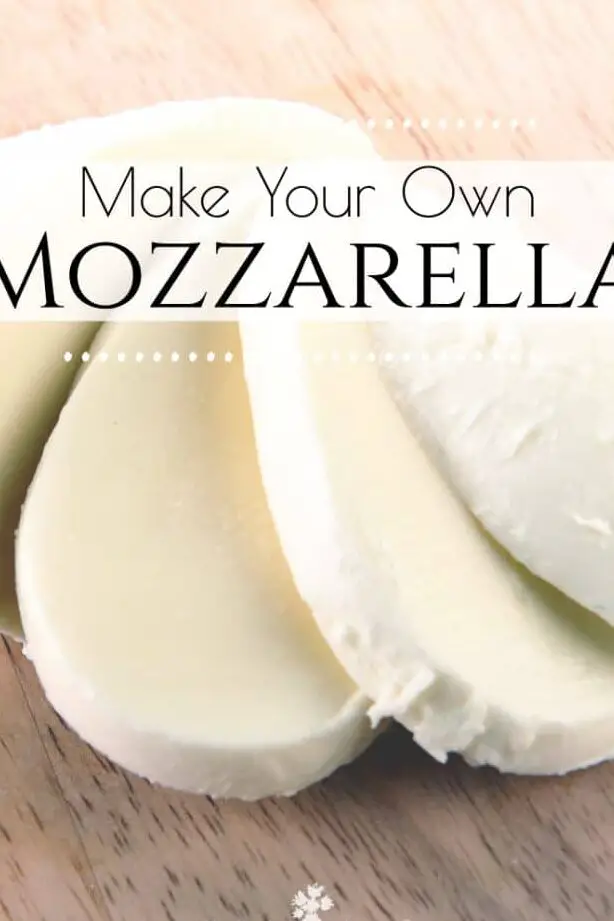 Receta casera de queso mozzarella