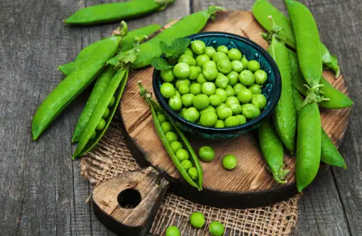 17 sustitutos rápidos de edamame | Relación y modo de uso 2023
